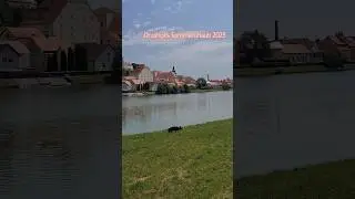 08.06.25 Fluss Drau, Stadt Ptuj, Slowenien. Erste Etappe. Einfach wundersch&ouml;n. #sch&auml;ferhund #urlaub