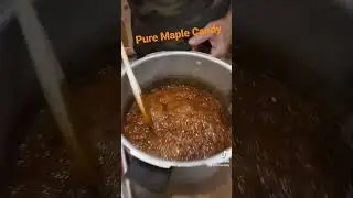 🍬 🍁 Homemade Pure Maple Syrup Candy #shorts