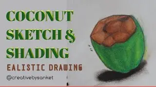 🥥 How To Draw A Coconut | Easy Drawing Step By Step For Beginners 🎨