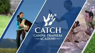 CATCH Training Tips: Get The Bug For Tug