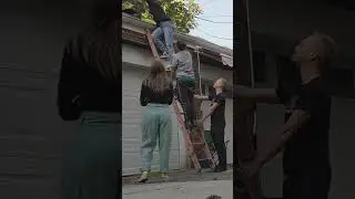 Helping a cat stuck on the roof
