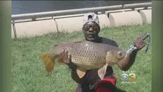 Man Catches 30-Pound Carp From Schuylkill River