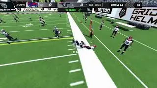 Week 16 Buffalo Bisons vs New England Volunteers
