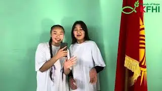 Volleyball championship 27.11.2024