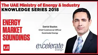 How Far Should Regulation Go in LNG Markets?