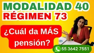 Decisiones inteligentes entre Modalidad 40 y Régimen 73