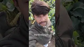 Day 16 complete 💯 viral video #shortsfeed #vlog #shorts