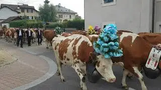 Désalpe La Prangine/les Clairvaud..