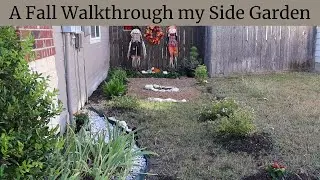 A Fall Walkthrough my Side Garden