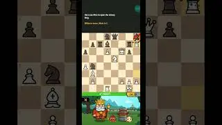 Chess Universe - Checkmate Playground - Level 29