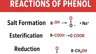 Reactions of Phenol | 2nd Year Chemistry Chapter11 | Alcohols, Phenols & Ethers | Complete Explain