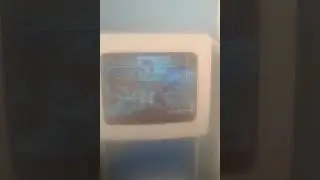 Paulo Victor VS Wallace