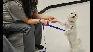 Lady's Progress at Mabel Bassett Correctional Facility