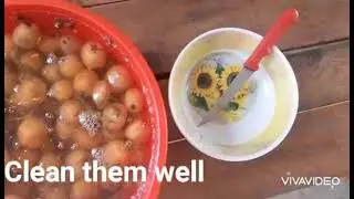 Loquat juice/Ice cream , Easy making