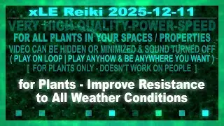 xLE Reiki | for Plants - Improve Resistance to All Weather Conditions