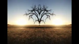 Limitless Life Meditation | Alan Watts
