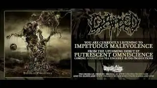 Dripped - Impetuous Malevolence (OFFICIAL TRACK PREMIERE) UNGODLY RUINS PRODUCTIONS (2020)