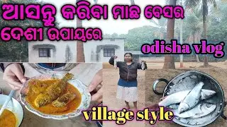 ଆସନ୍ତୁ କରିବା ଦେଶୀ ମାଛ ବେସର /Odisha village blogs/desi recipe 👍#villagefood#villagelife#fishcurry 