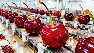 Inside a Modern Cherry Factory: From Fresh Cherries to Filling (Full Process) 🍒