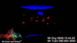 [BCA DANCE GROUP] C&aacute; Ch&eacute;p H&oacute;a Rồng - Black light Dance - Event New Focus