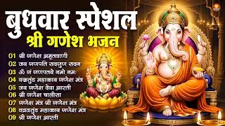बुधवार स्पेशल : ॐ गं गणपतये नमो नमः, वक्रतुंड महाकाय, सुखकर्ता दुखहर्ता, गणेश अमृतवाणी व आरती
