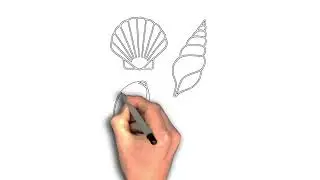How to draw Shell Collections