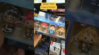 Harry Potter w Tedi. #diy #funko #tedi #harrypotter #foryou #present #toys #pottery #hp #foryou
