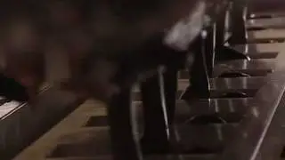 shokomonk Produktion