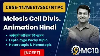 Meiosis Cell Division in Hindi | Heterotypic & Homotypic | Animation | Biology | 9MC10