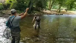 Huge brown Trout blue ridge georgia