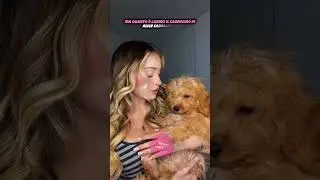 IL CAGNOLINO DI ALICE CAROLLO &Egrave; TROPPO DOLCE. #shorts #tiktok #perte #neiperte
