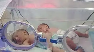 Twins Babies Received Safely from Private Labor Room | Newborn Care Moment