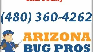 Cockroach Exterminators Chandler, AZ (480)360-4262