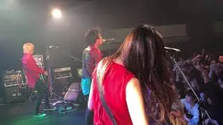 The Beautiful Monkeys - a flood of circle 2018.10.06 at Sendai darwin