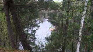 Minnesota Lake Homes Waterfront Property Gull Bluff Drive