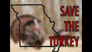 Declining Turkey Population
