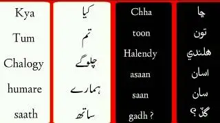 Learn Sindhi Language Course | Sindhi Language Through Hindi|Urdu Lesson #17