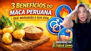 3 BENEF&Iacute;CIOS DO MACA PERUANA QUE MUDAR&Atilde;O A SUA VIDA