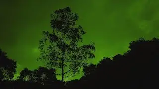 GCDF | Strange Mass Events, Freaky Disappearances, & More - Sept 20, 2020