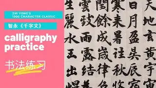 Write with me 3 -- 1000 Classic Character by Zhiyong | 智永千字文临摹