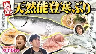 【黒田まえはるのあの郷土グルメ】能登が誇る巨大ブランド魚“天然能登寒ぶり”！（2026年1月16日）