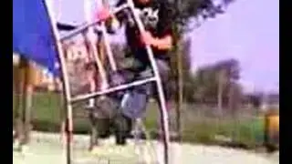 stuntmenn
