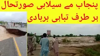 panjab me selabi mnazir har taraf tbahi #panjab #selab #viral #pakistanupdate #tbahi