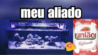 Açúcar no aquário marinho