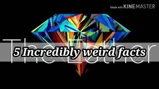 TOP 5 MOST WEIRD FACTS YOU SHOULD KNOW!