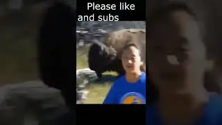 Bull Chase