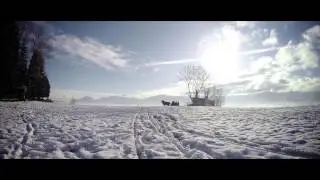 Damian Holecki & Baciary - Pójdźmy Wszyscy do Stajenki