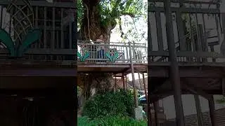 A Visit to Saint Ferdinand Church and College, City of Ilagan with Wifey