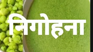 हरे चने से बनी निगोहना रेसिपी 