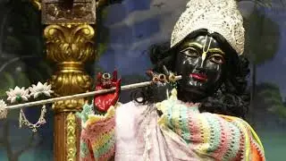 Mere girdhar tuhi sahara h #viral #adorablevideo #adroble #krishna #krishn #girdhar 🪷🪷🪷🪷🪷🥀🥀🥀🥀🥀🥀🥀🥀🥀🥀🥀